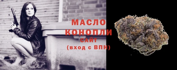 mdpv Каменногорск