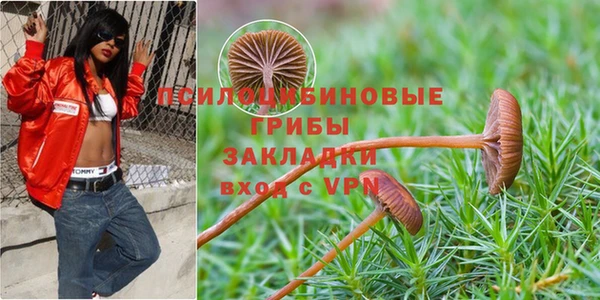 MDMA Каменск-Шахтинский