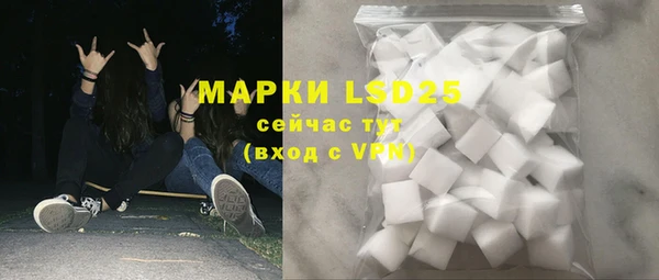 mdpv Каменногорск