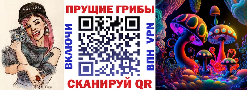 Псилоцибиновые грибы Psilocybe  Пермь 